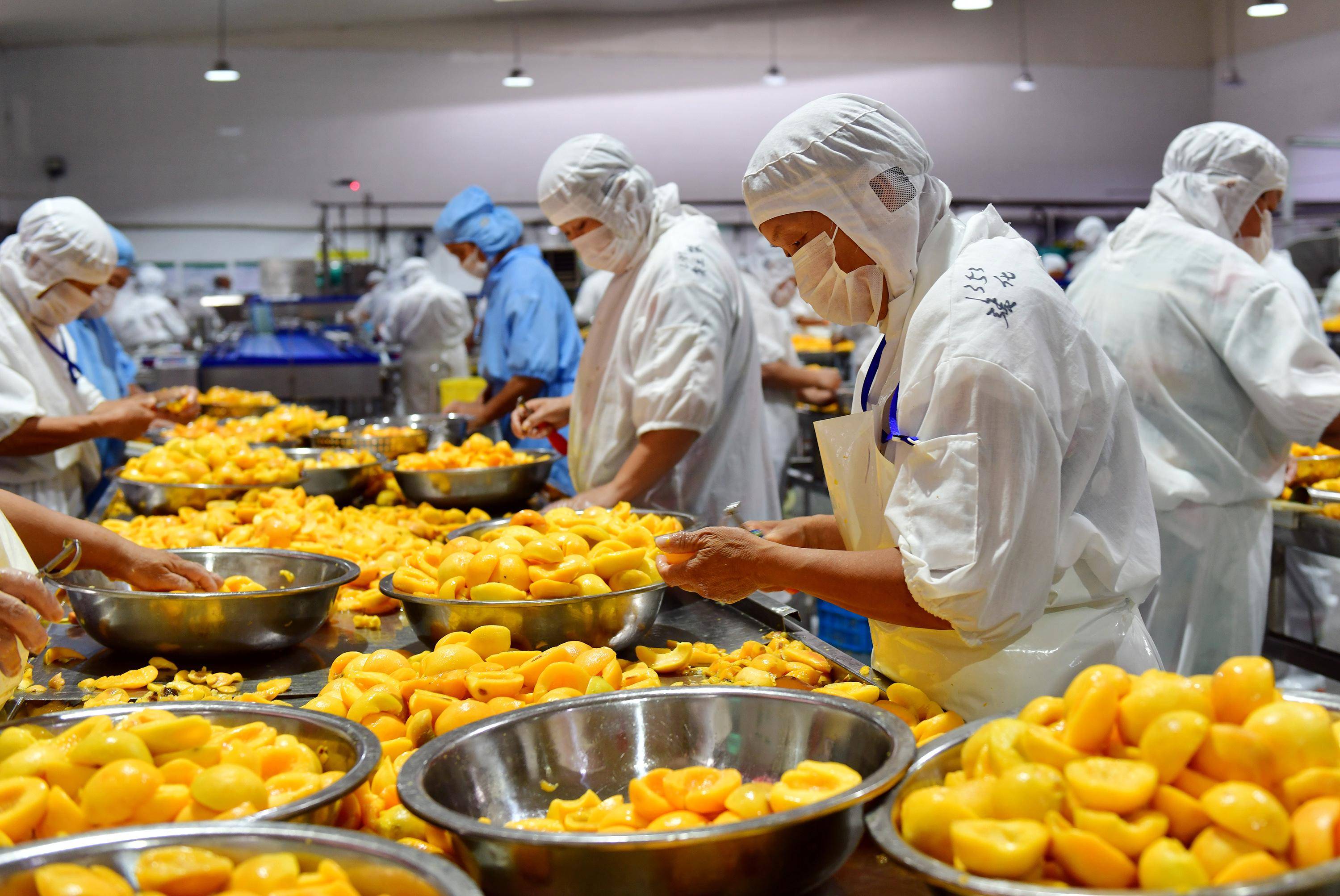 ISO 22000食品安全管理体系认证